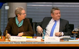 Petitionssitzung im Bundestag