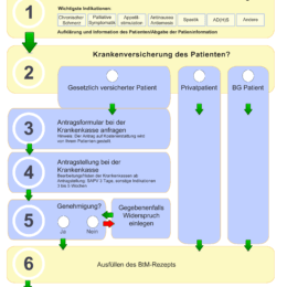 Welche Voraussetzungen müssen für eine Verordnung von cannabishaltigen Arzneimitteln erfüllt sein?