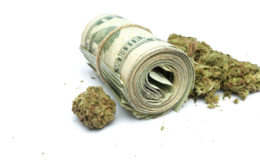 Presseschau: Der Milliarden-Markt mit Marihuana (boerse.ARD)